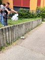 IMG_1362